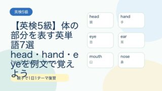 【英検5級】体の部分を表す英単語7選｜head・hand・eyeを例文で覚えよう 